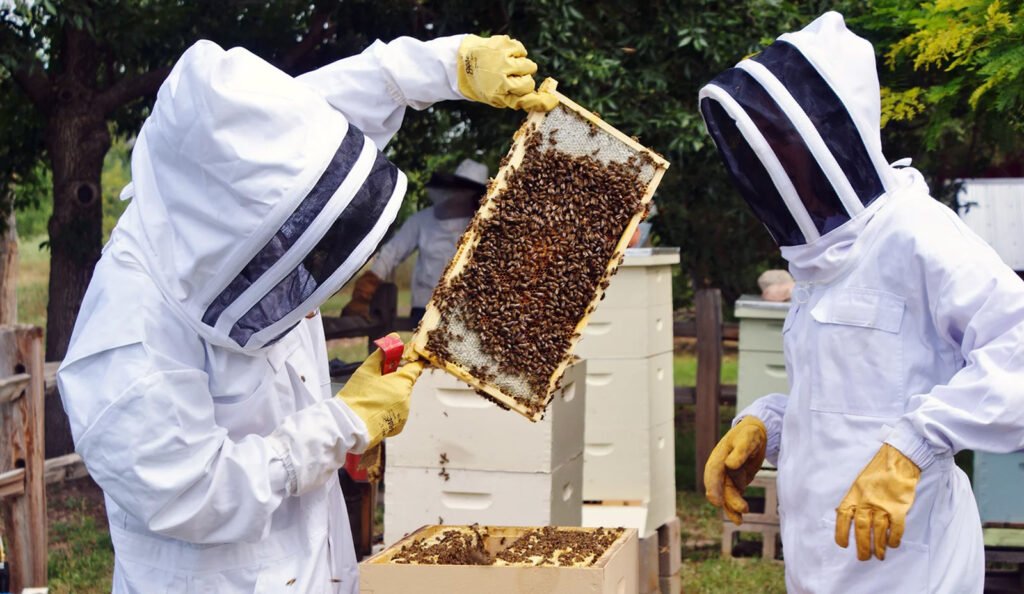 Introduction to Beekeeping class