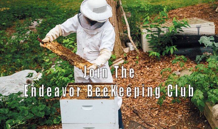 Endeavor Beekeeping Club Membership